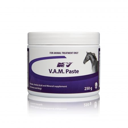 VAM PASTE POT 250G