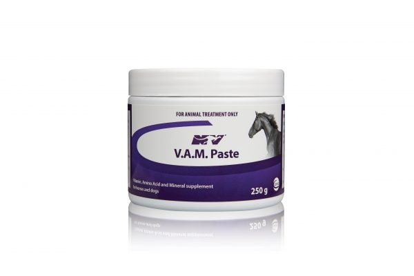 VAM PASTE POT 250G