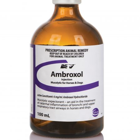 AMBROXOL 100ML