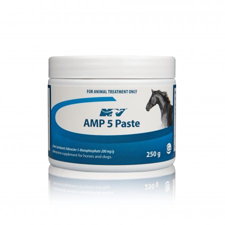 AMP 5 PASTE 250G