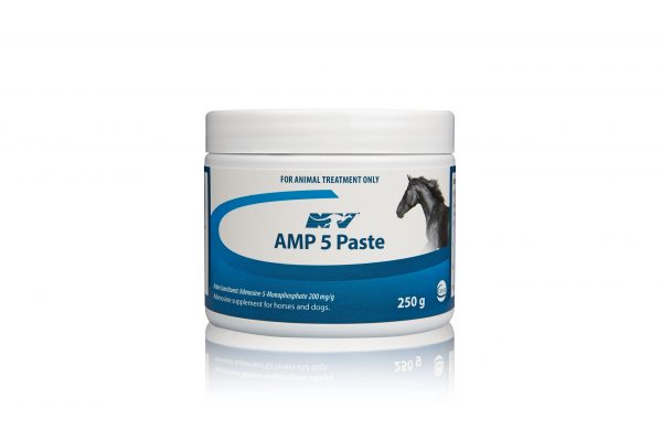 AMP 5 PASTE 250G