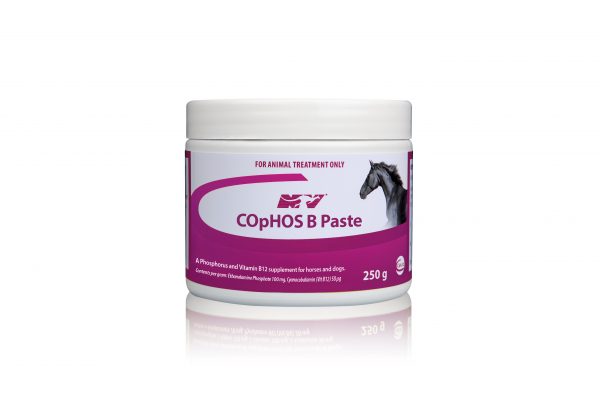 Cophos B Paste Pot 250G