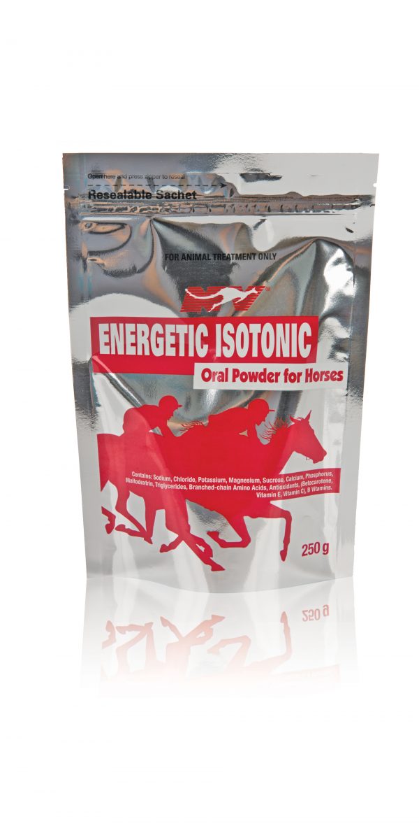 ENERGETIC-ISOTONIC-POWDER-250G