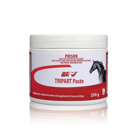 TRIPART PASTE POT 250G