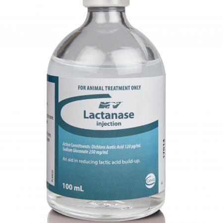 LACTANASE 100ML