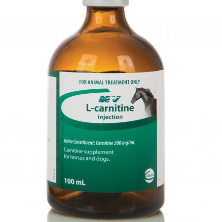 L-CARNITINE 100ML
