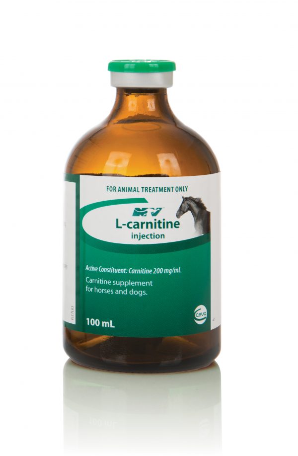 L-CARNITINE 100ML