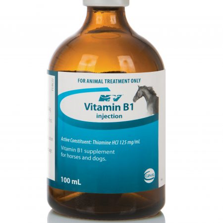 VITAMIN B1 100ML