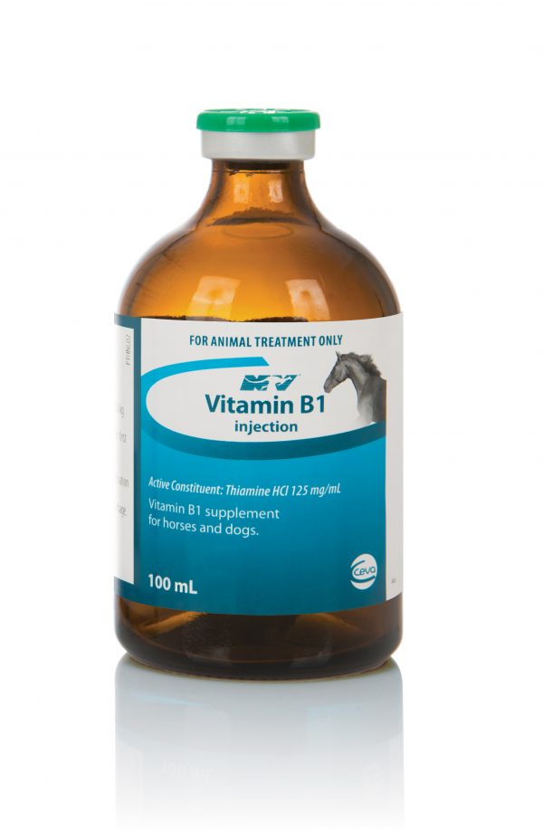 VITAMIN B1 100ML