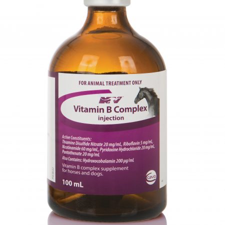 VITAMIN B COMPLEX 100ML