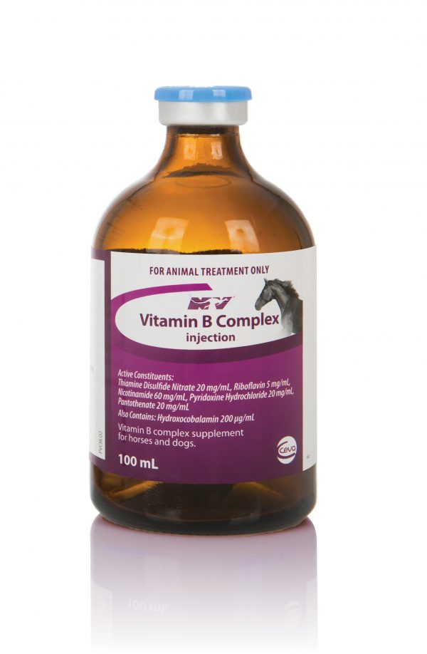 VITAMIN B COMPLEX 100ML