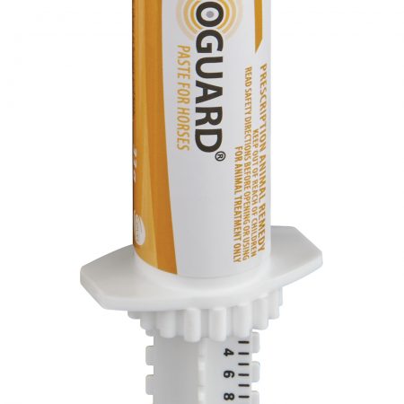 OMOGUARD PASTE(6X33G)