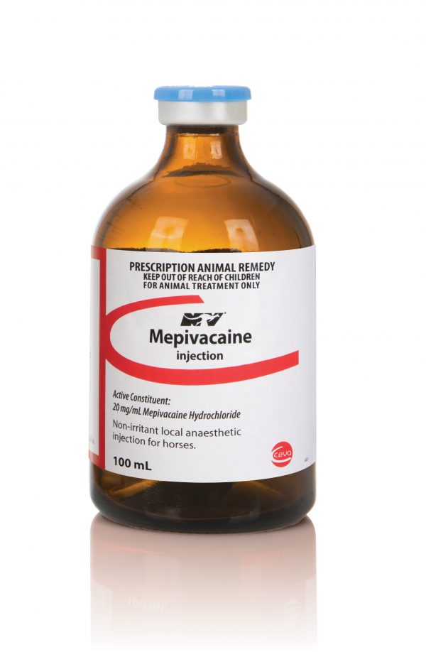 MEPIVACAINE 100ML