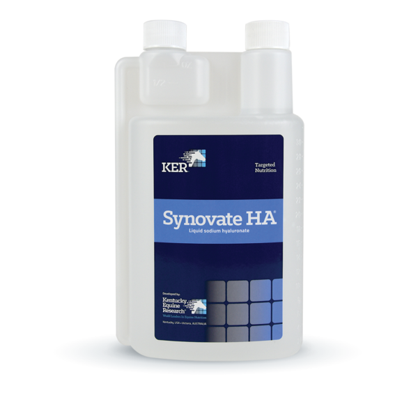 SYNOVATE HA