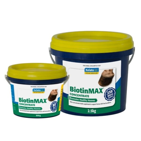 BIOTINMAX CONCENTRATE