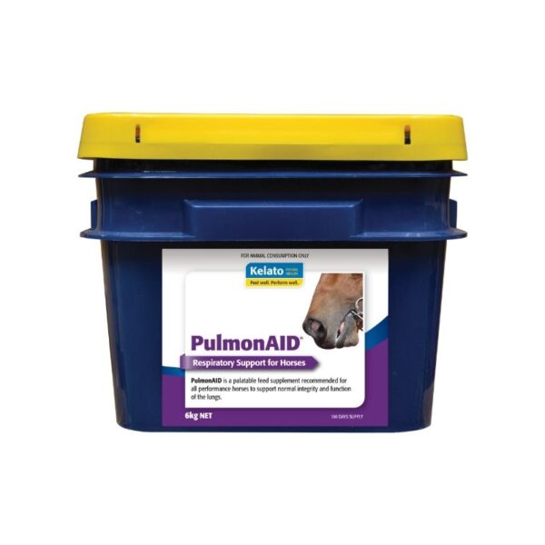 PULMONAID